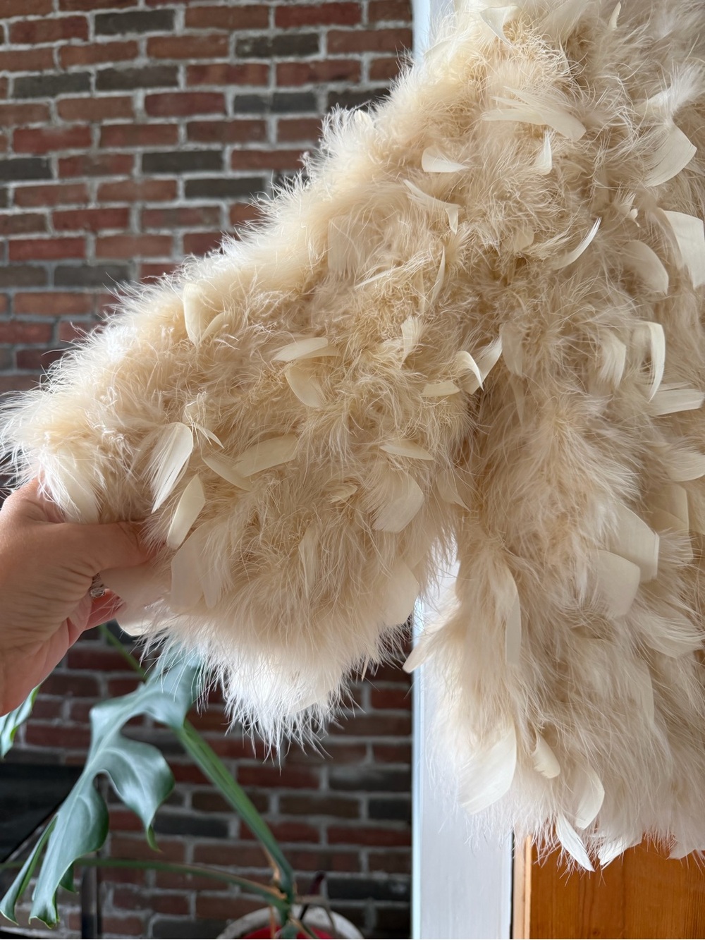 🪽Feather Jacket 🪽 S - Picture 2 of 10